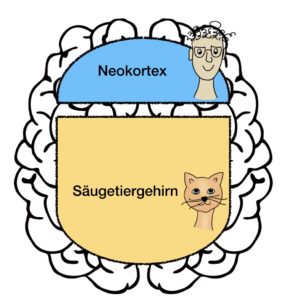 Neokortex und Säugetiergehirn