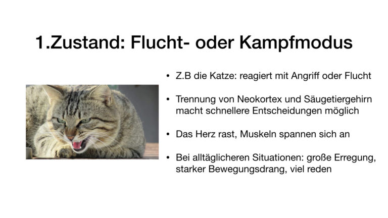 Kampf-Flucht-Modus