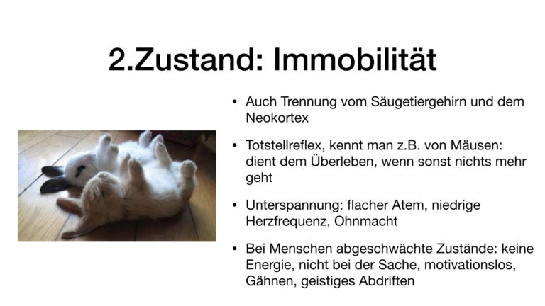 Erstarrungszustand