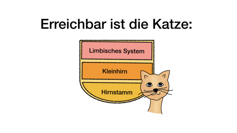Katze ist erreichbar